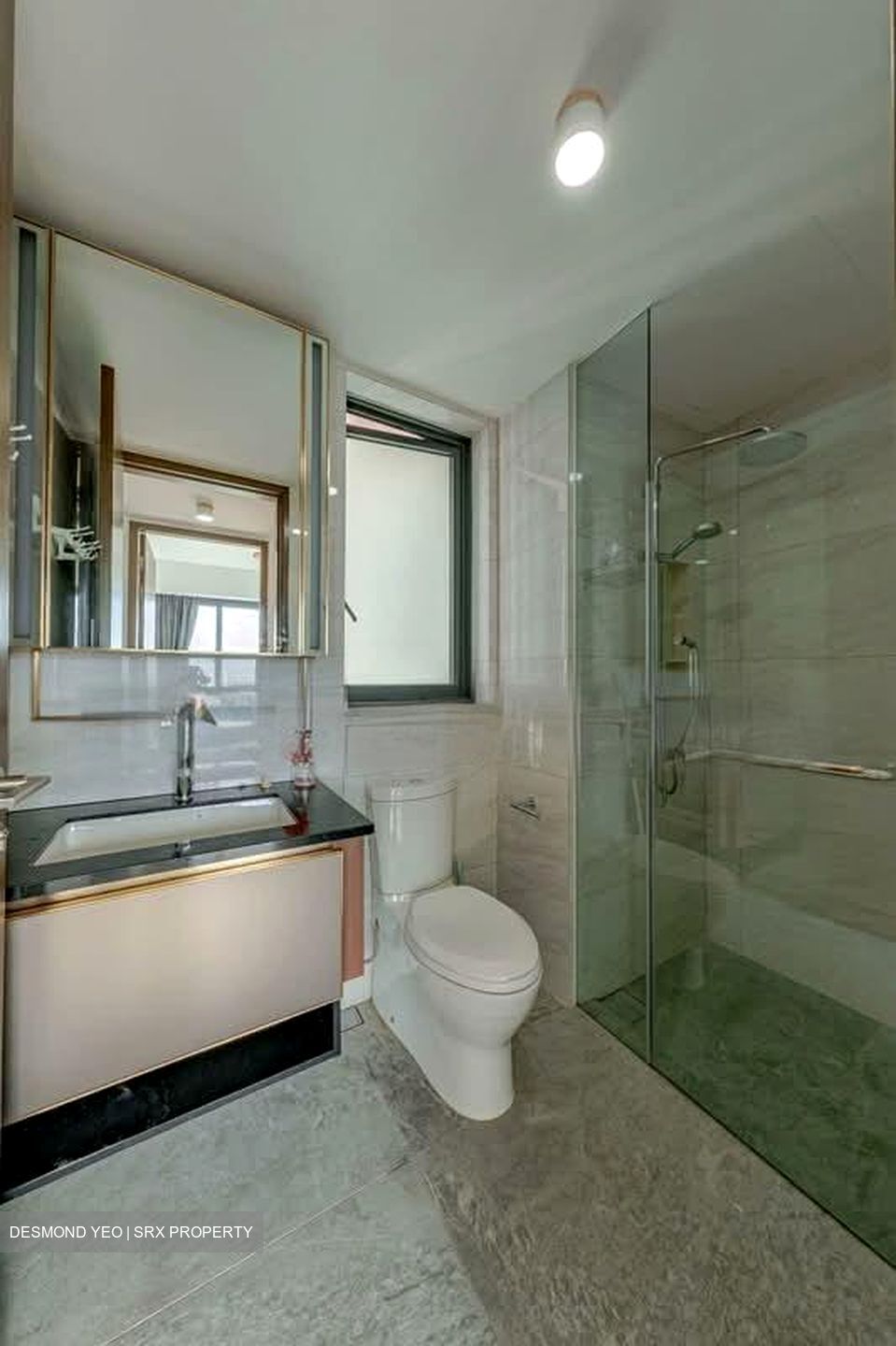 Normanton Park (D5), Apartment #582410901